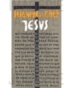 Image n°371
