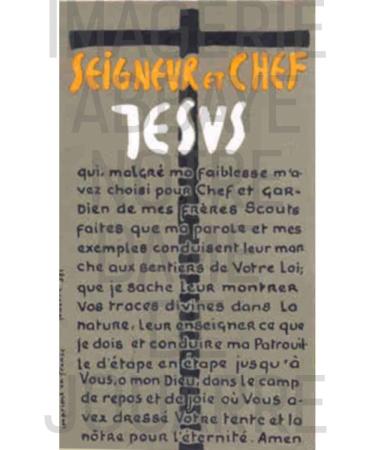 Image n°371