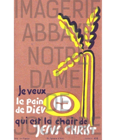 Image n°416