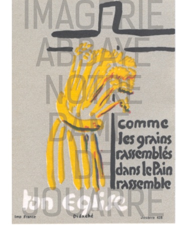 Image n°428